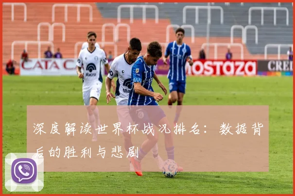 深度解读世界杯战况排名：数据背后的胜利与悲剧