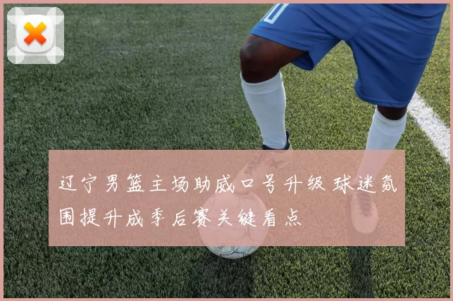 辽宁男篮主场助威口号升级 球迷氛围提升成季后赛关键看点