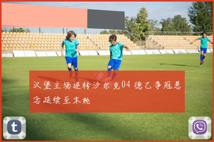 汉堡主场逆转沙尔克04 德乙争冠悬念延续至末轮