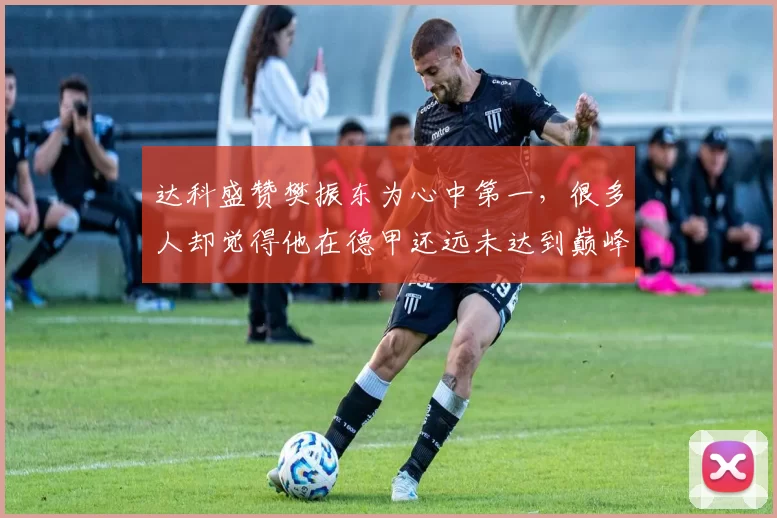 达科盛赞樊振东为心中第一，很多人却觉得他在德甲还远未达到巅峰，球迷看了真是既高兴又忧愁_比赛_欧洲_压力