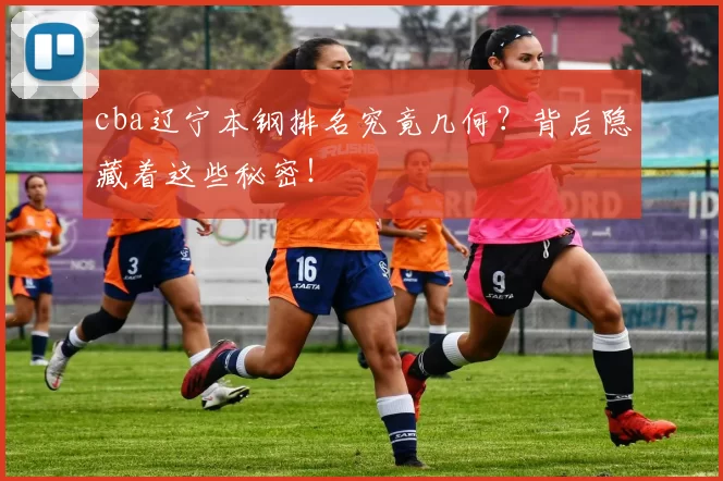 cba辽宁本钢排名究竟几何？背后隐藏着这些秘密！