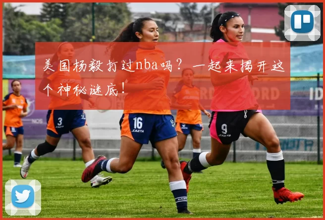 美国杨毅打过nba吗？一起来揭开这个神秘谜底！