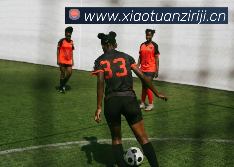 开云(中国)Kaiyun·官方网站 - 登录入口发展历程