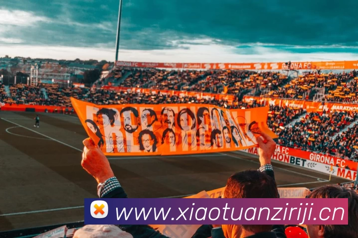 多媒体互动体验